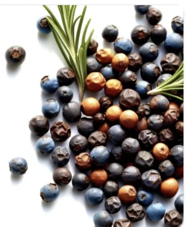 <p>Juniper Berries: Immune Defense</p>